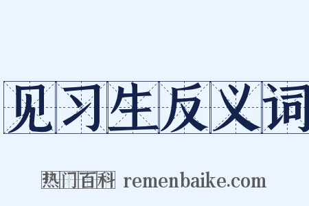 见习生反义词是什么意思的图片